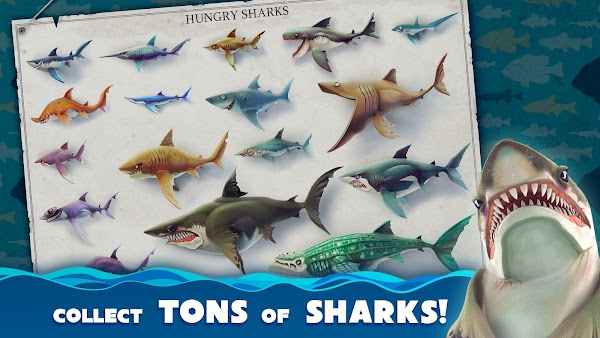 hungry shark world free download